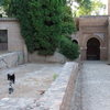 alhambra2012aug2