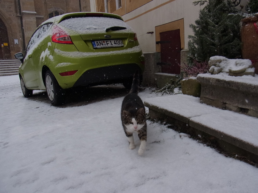 2013rothenburgjan (2)