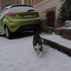 2013rothenburgjan (2)