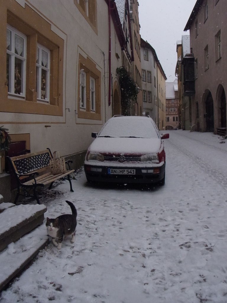 2013rothenburgjan (12)