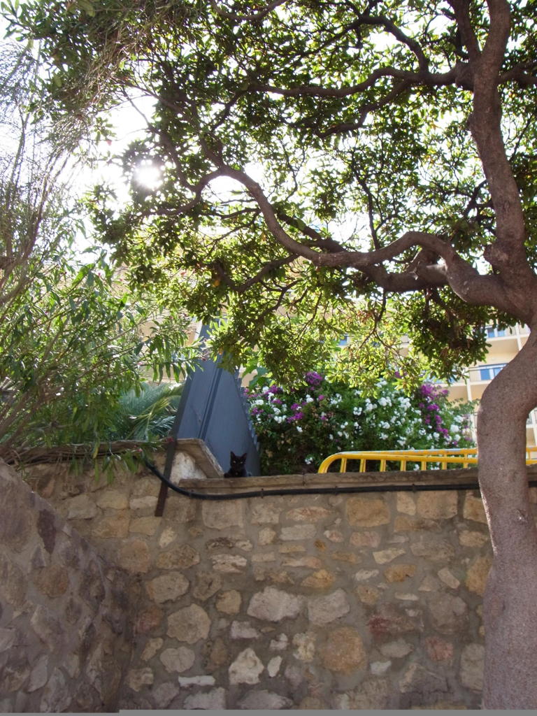 EStarragona02