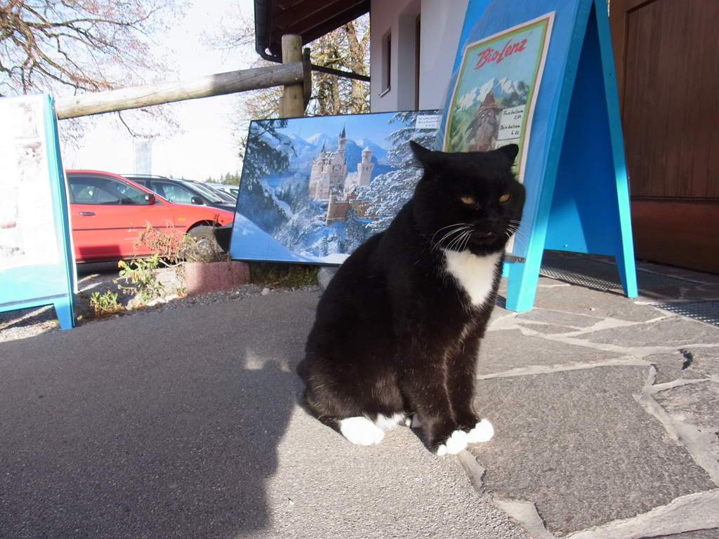 wiescat02