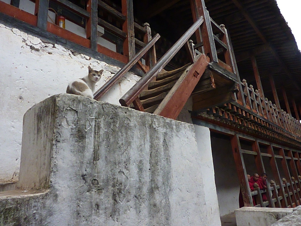 BTwanduephodrang (6)