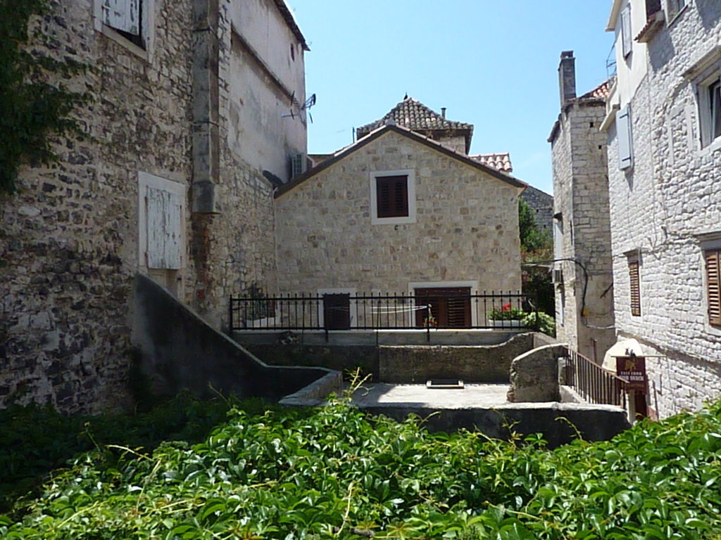 torogir (1)