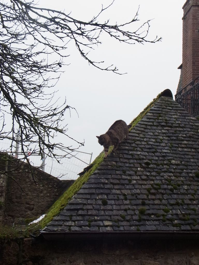 2013mtstmicheljan (17)