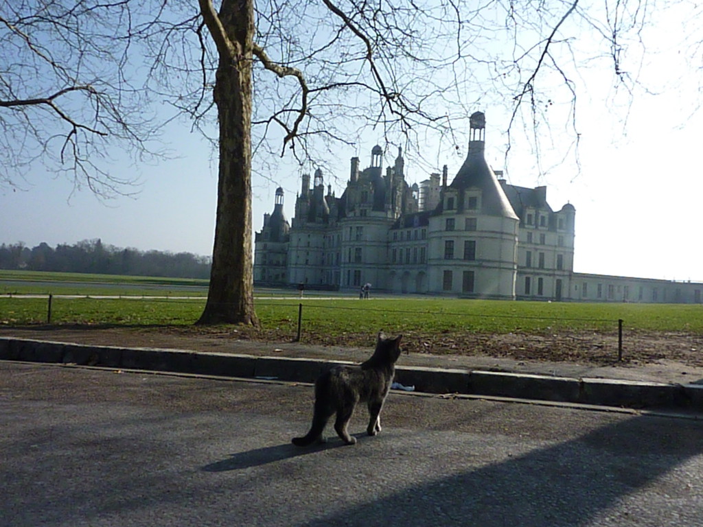 FRchambord (2)