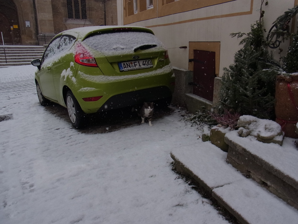 2013rothenburgjan (1)