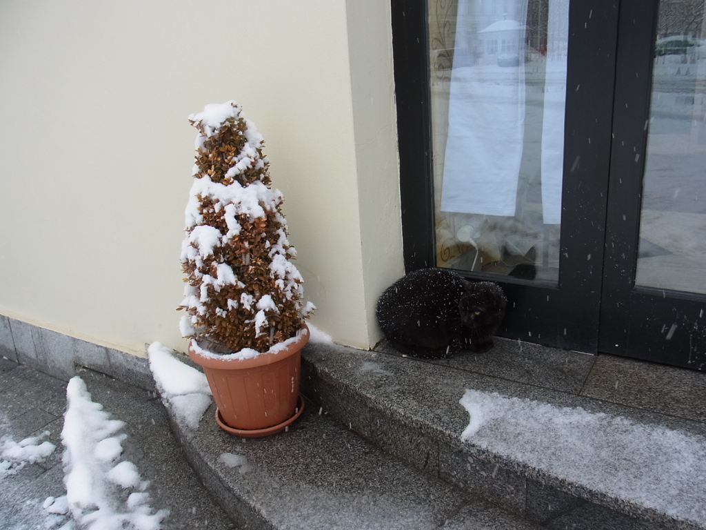 karlovy vary04