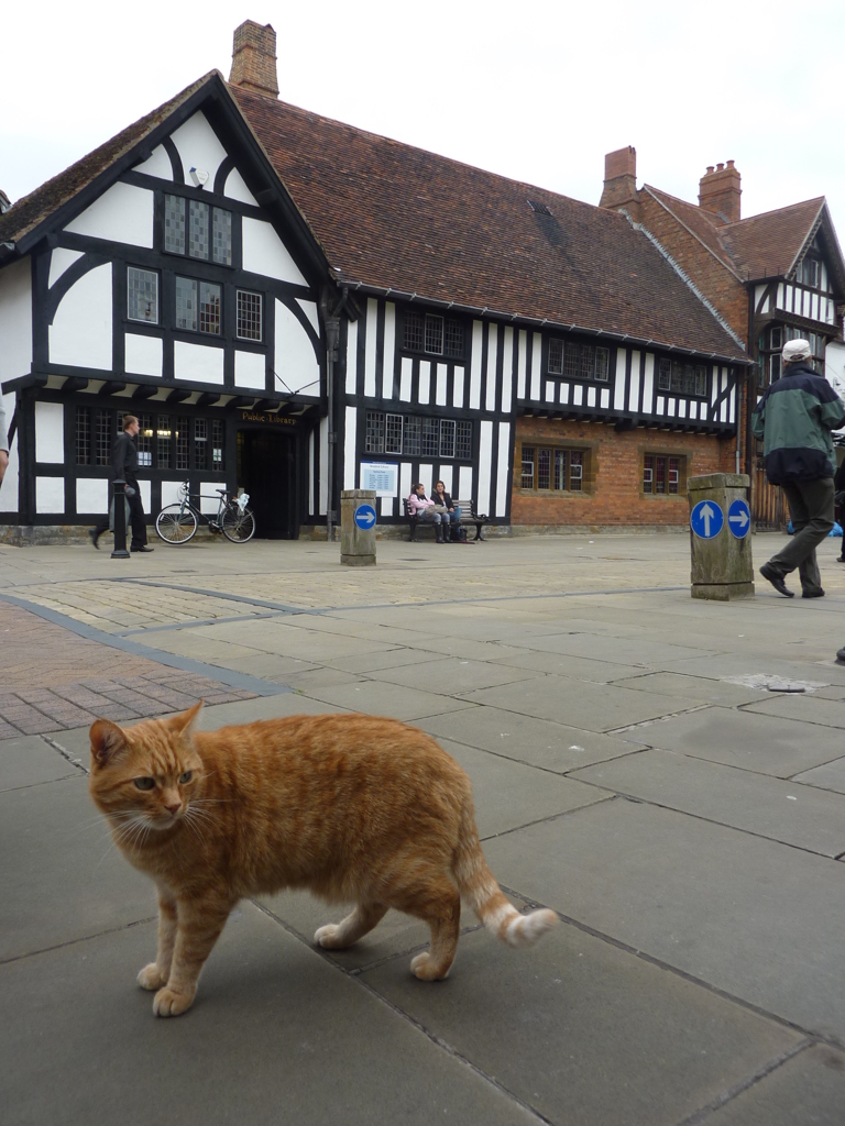 GBstratford-avon (3)