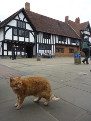 GBstratford-avon (3)