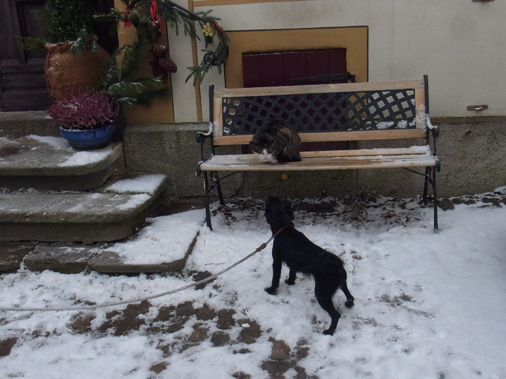 2013rothenburgjan (7)
