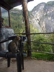 BTtaktsang (3)