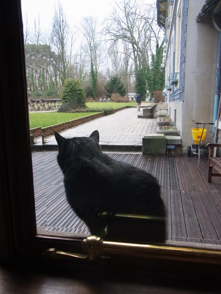ナンシー派美術館の看板黒猫４