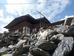 BTchimirakan (4)