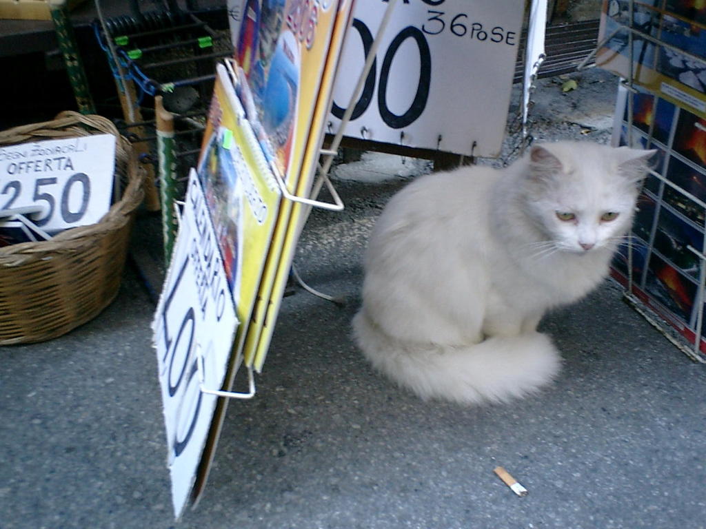 ITtaormina