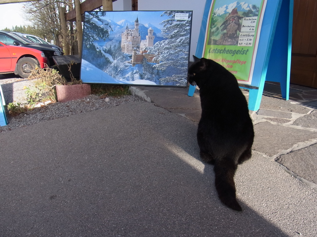 wiescat01