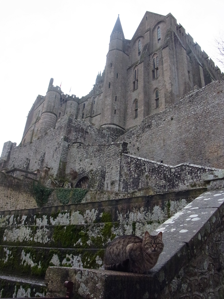 2013mtstmicheljan (9)