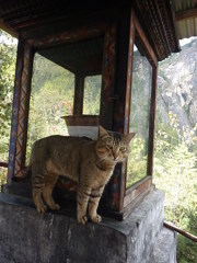 BTtaktsang (2)