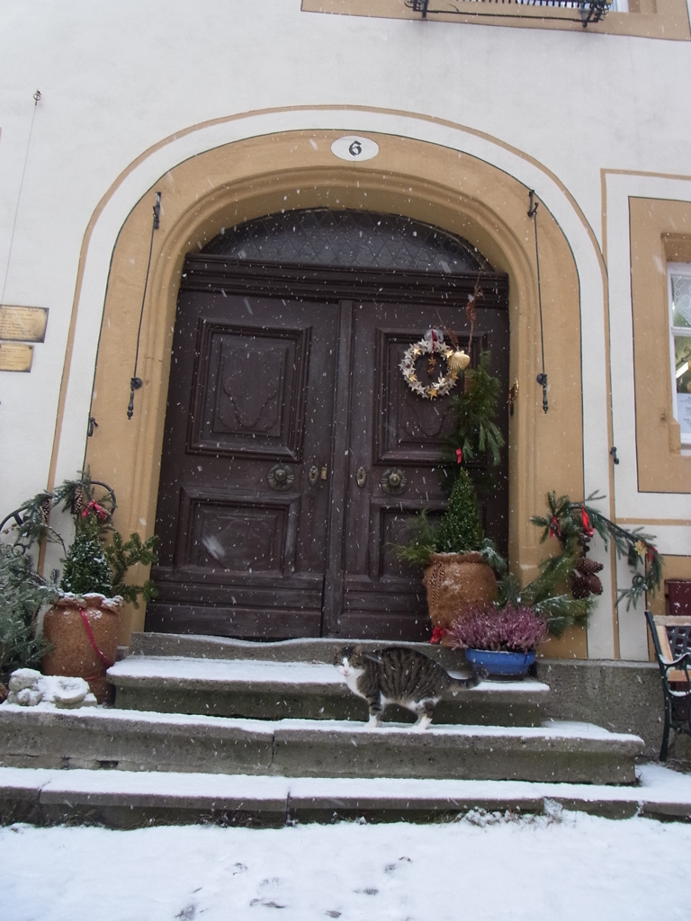 2013rothenburgjan (3)