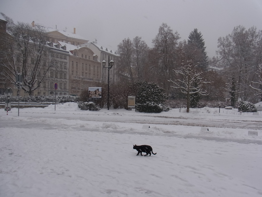 karlovy vary03