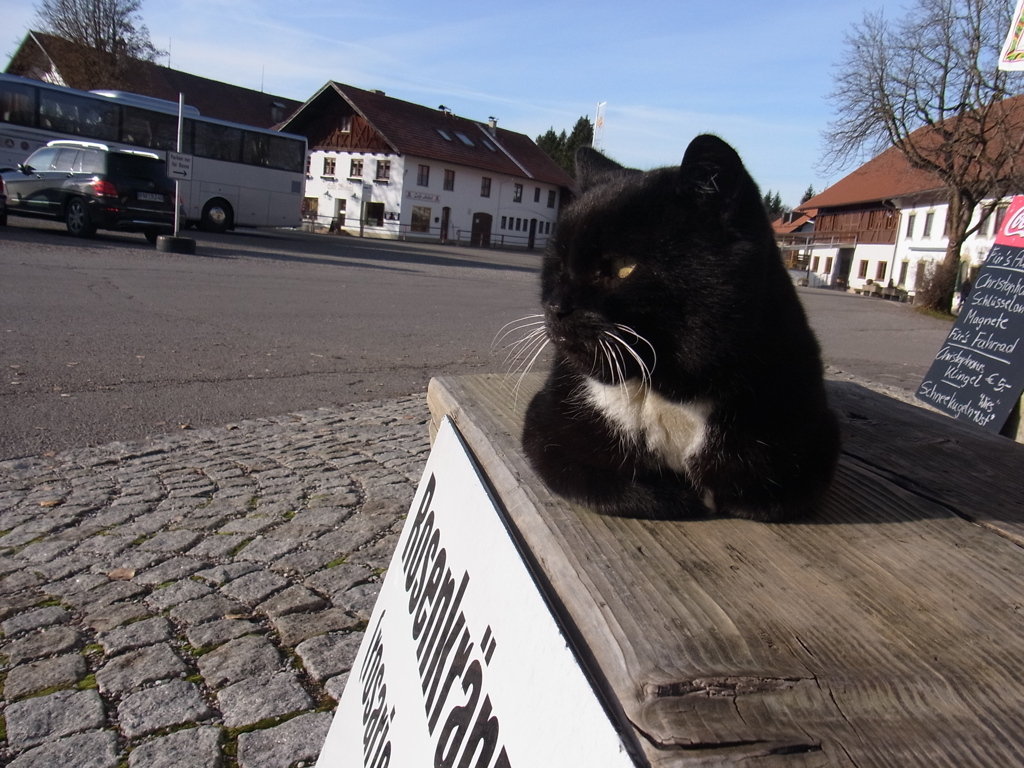 wiescat07