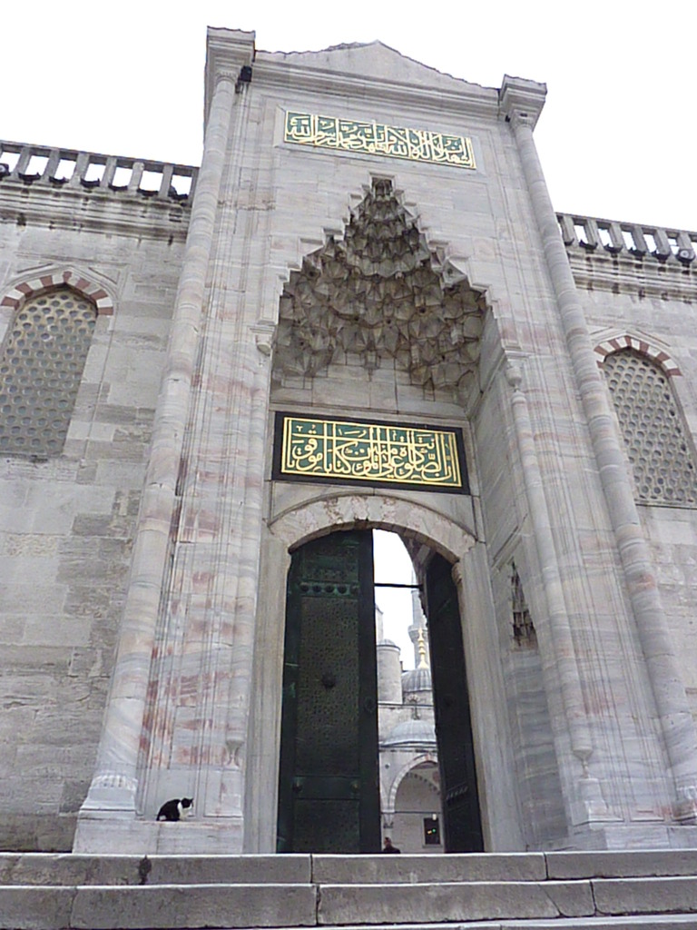 TKistanbul (5)