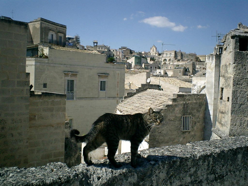 ITmatera01