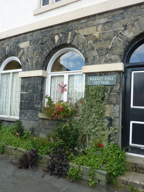 GBhawkshead (2)