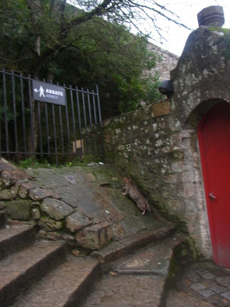 2013mtstmicheljan (6)