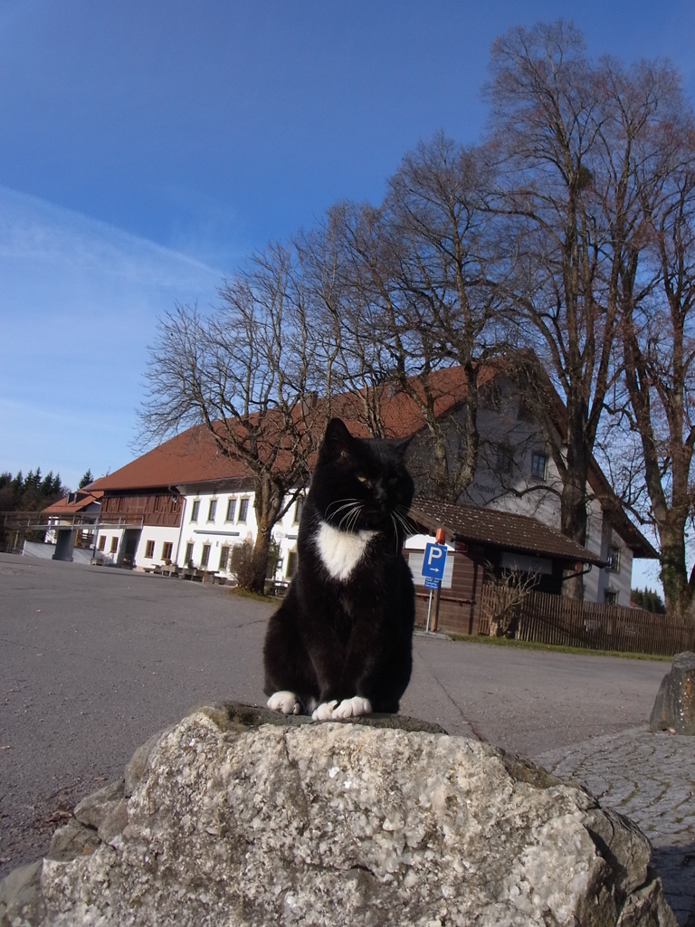 wiescat05