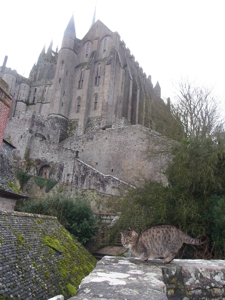 2013mtstmicheljan (11)