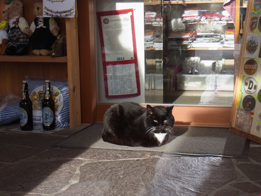 wiescat10