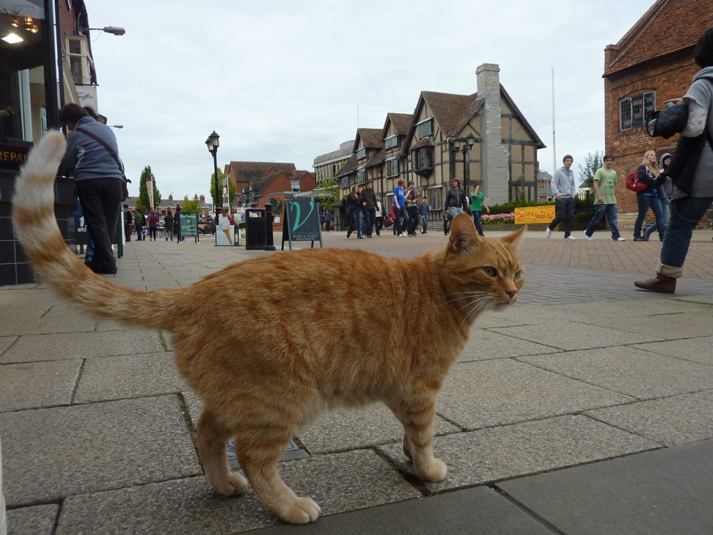 GBstratford-avon (4)