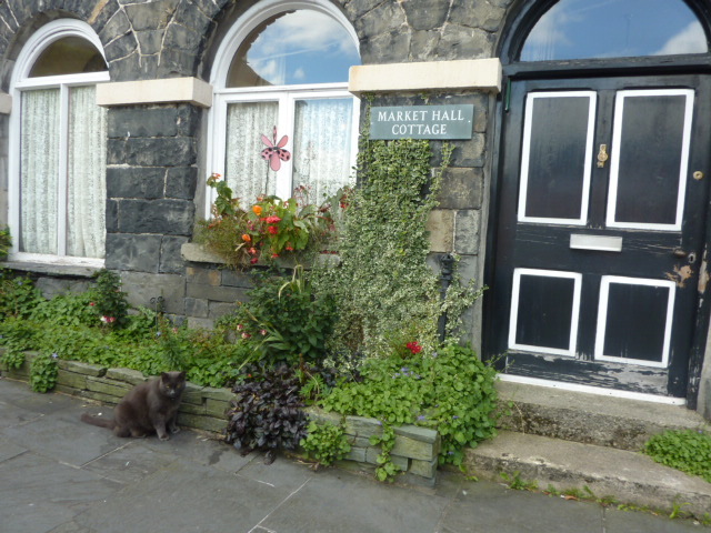 GBhawkshead (1)