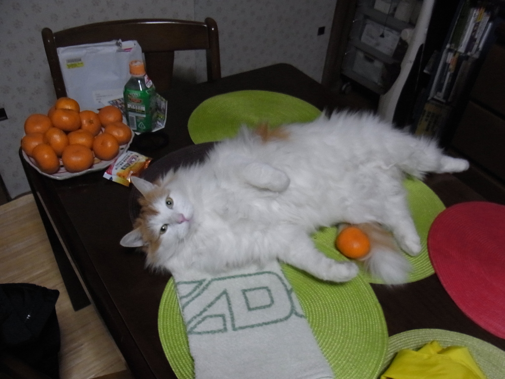 寝正月