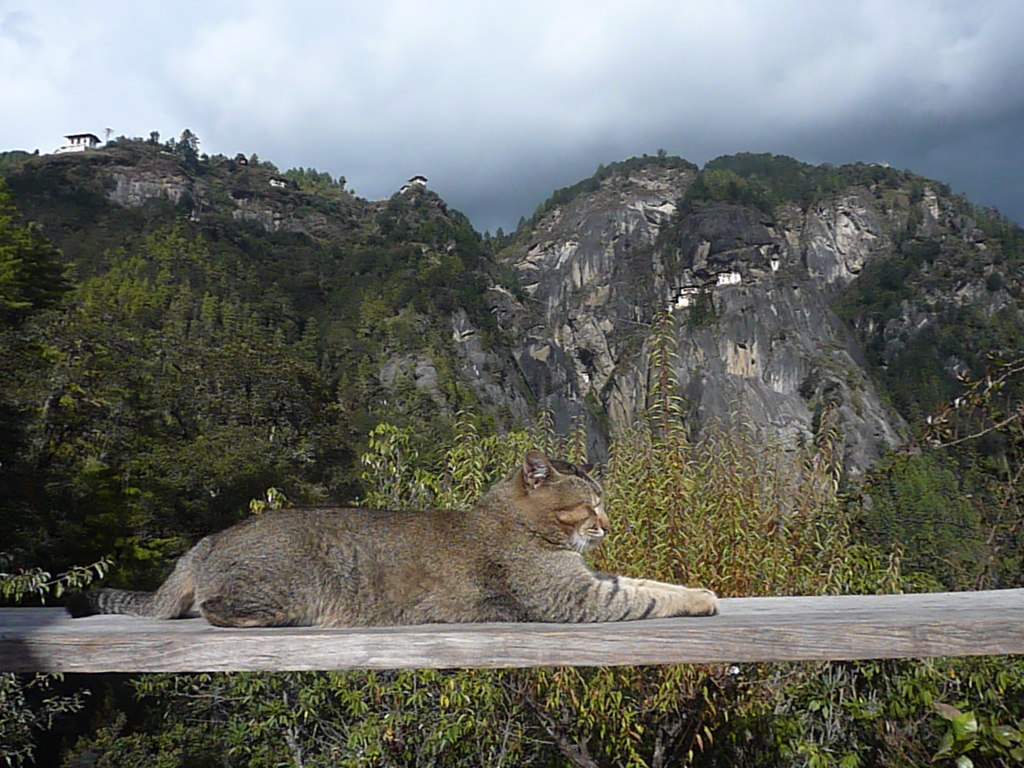 BTtaktsang (4)