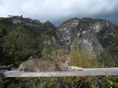 BTtaktsang (4)