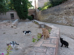 alhambra2012aug3