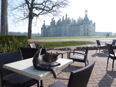 FRchambord (4)