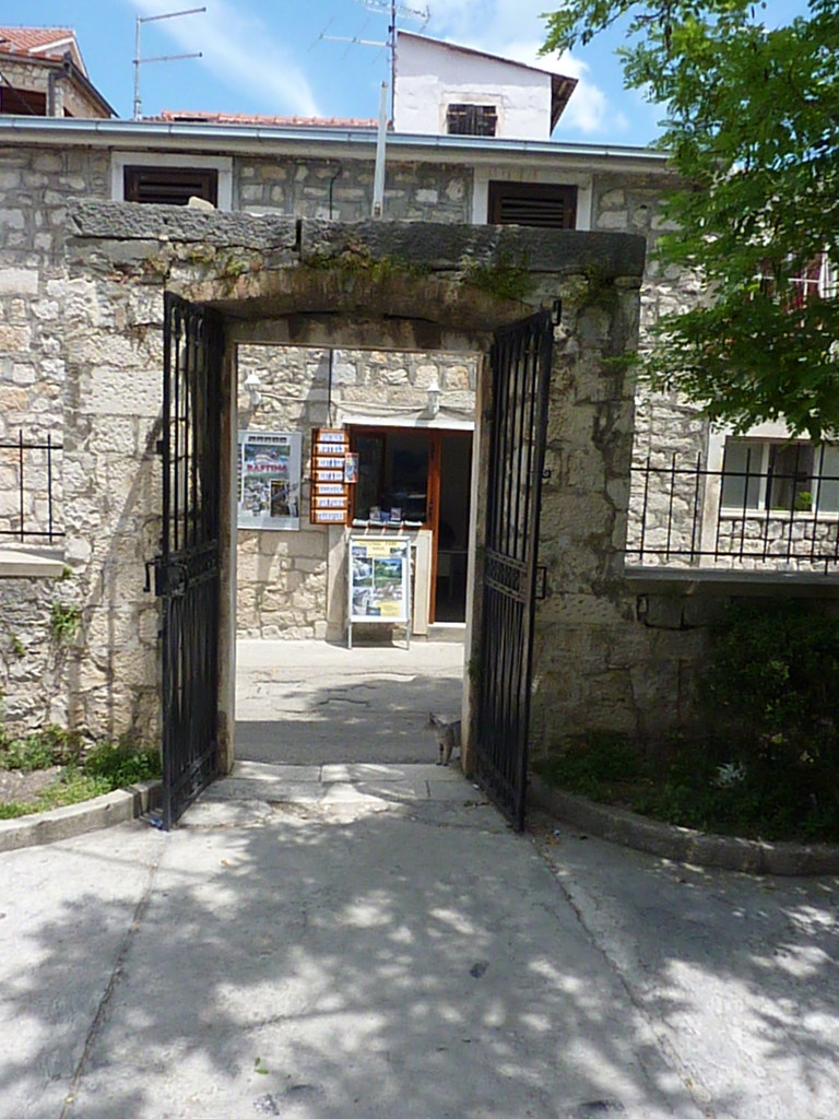 torogir (6)