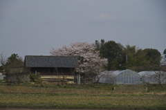 夢Ⅲ