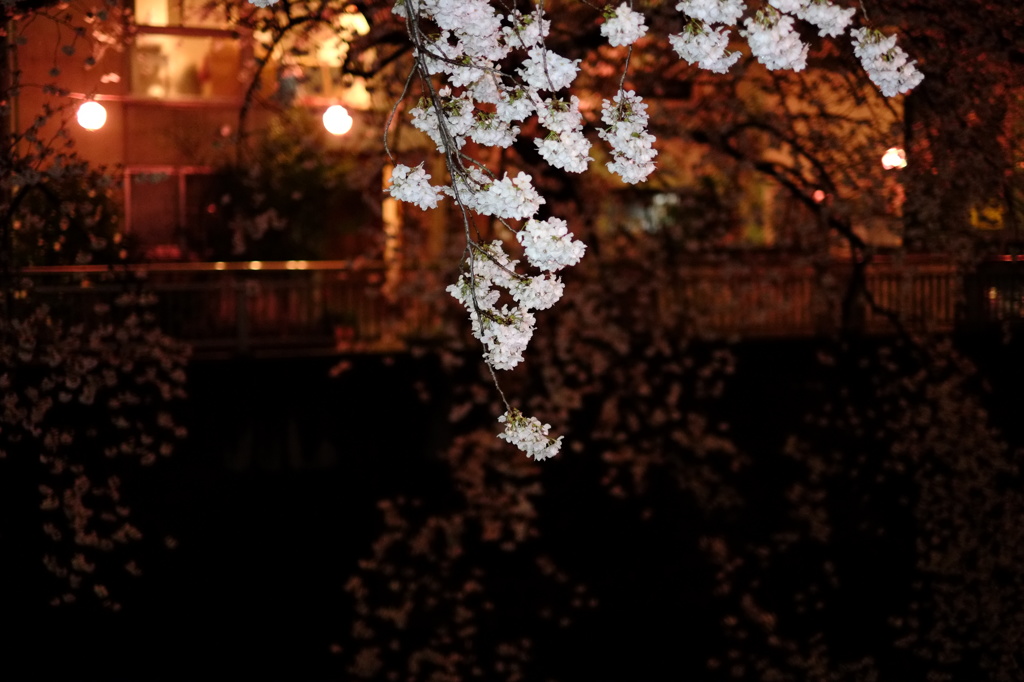 夜２