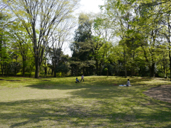 なんて穏やか日