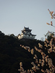 岩国城
