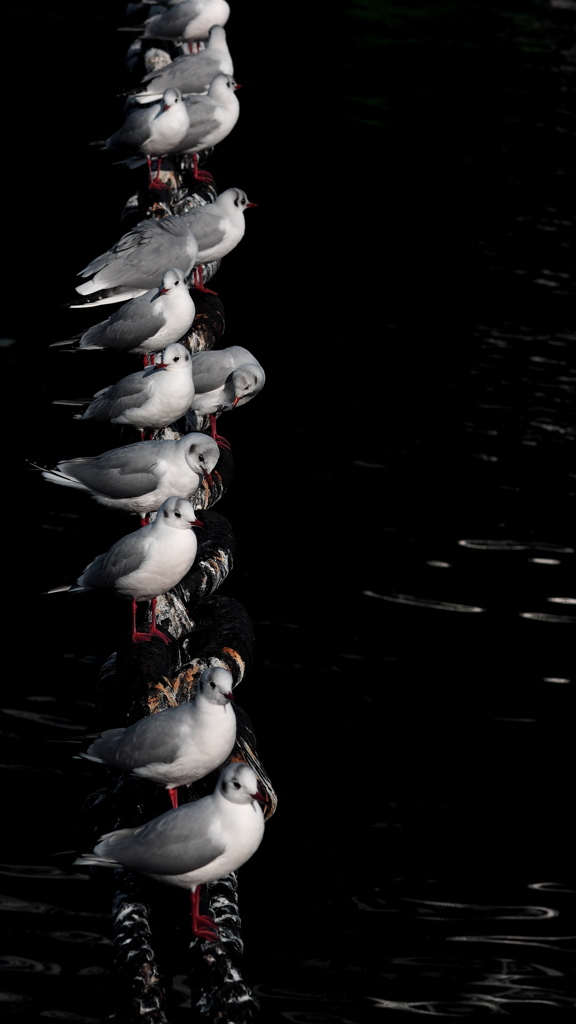 chainplay