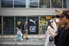 飛び猫
