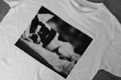 Tシャツ