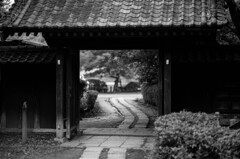 門