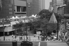 Roof Park Waik