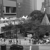 Roof Park Waik